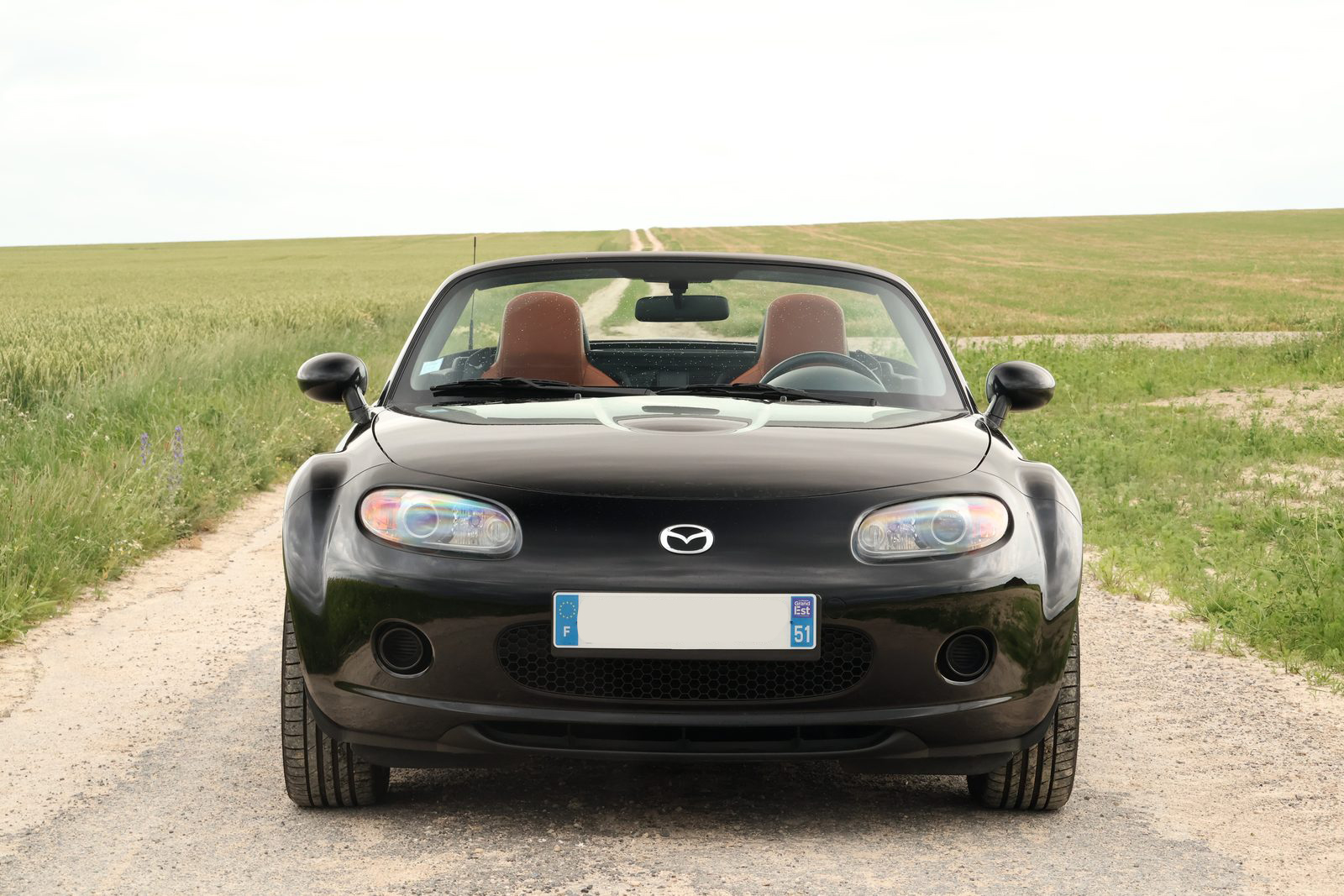 Avant toit ouvert, sièges cognac